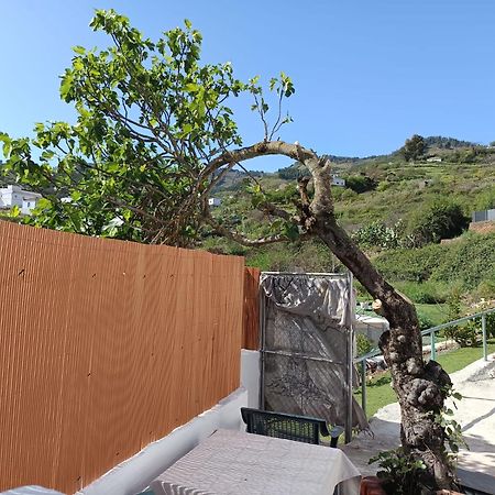 Vv Rural Finca Ecocielo 维加-德圣马特奥 外观 照片