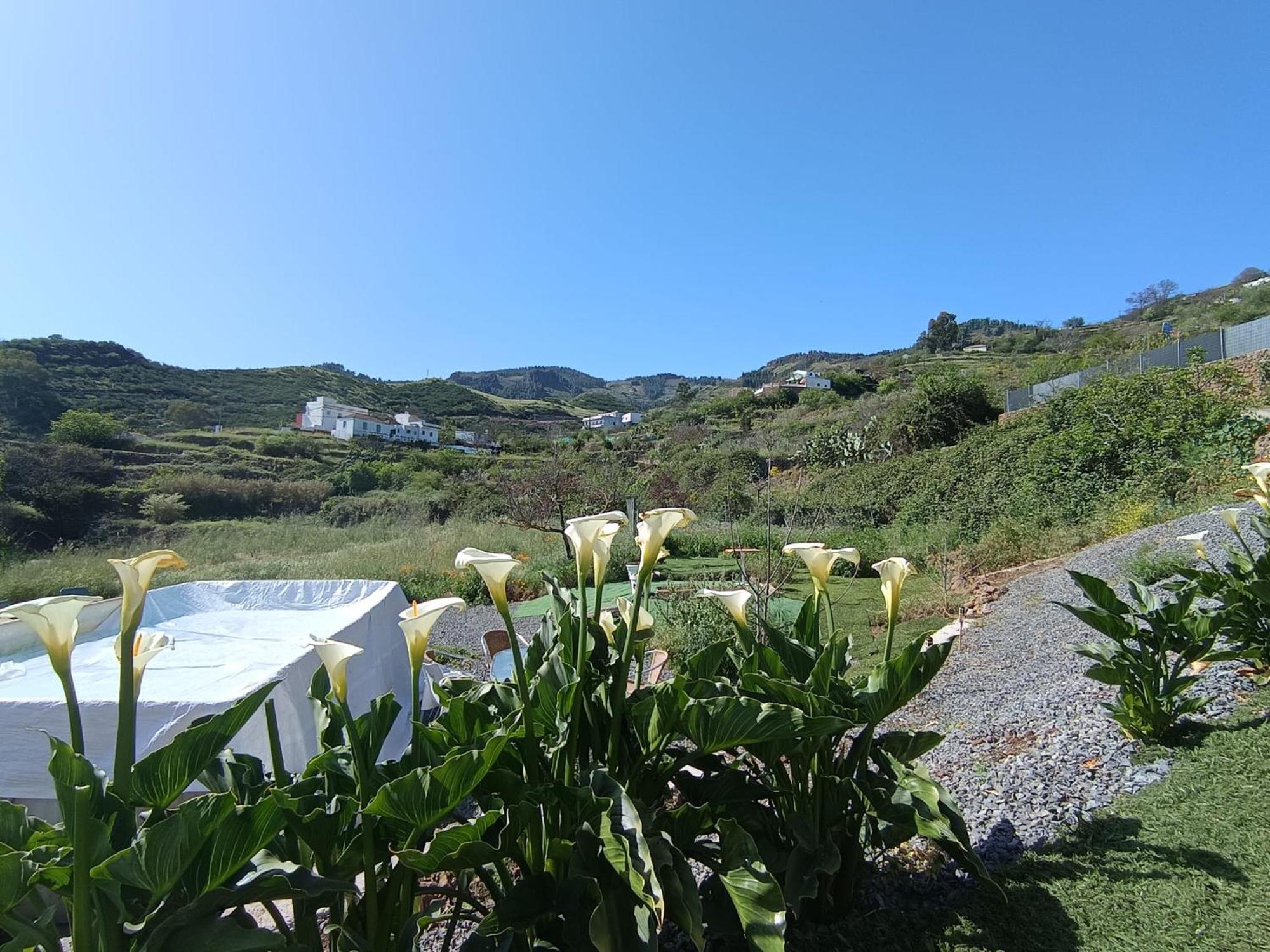 Vv Rural Finca Ecocielo 维加-德圣马特奥 外观 照片