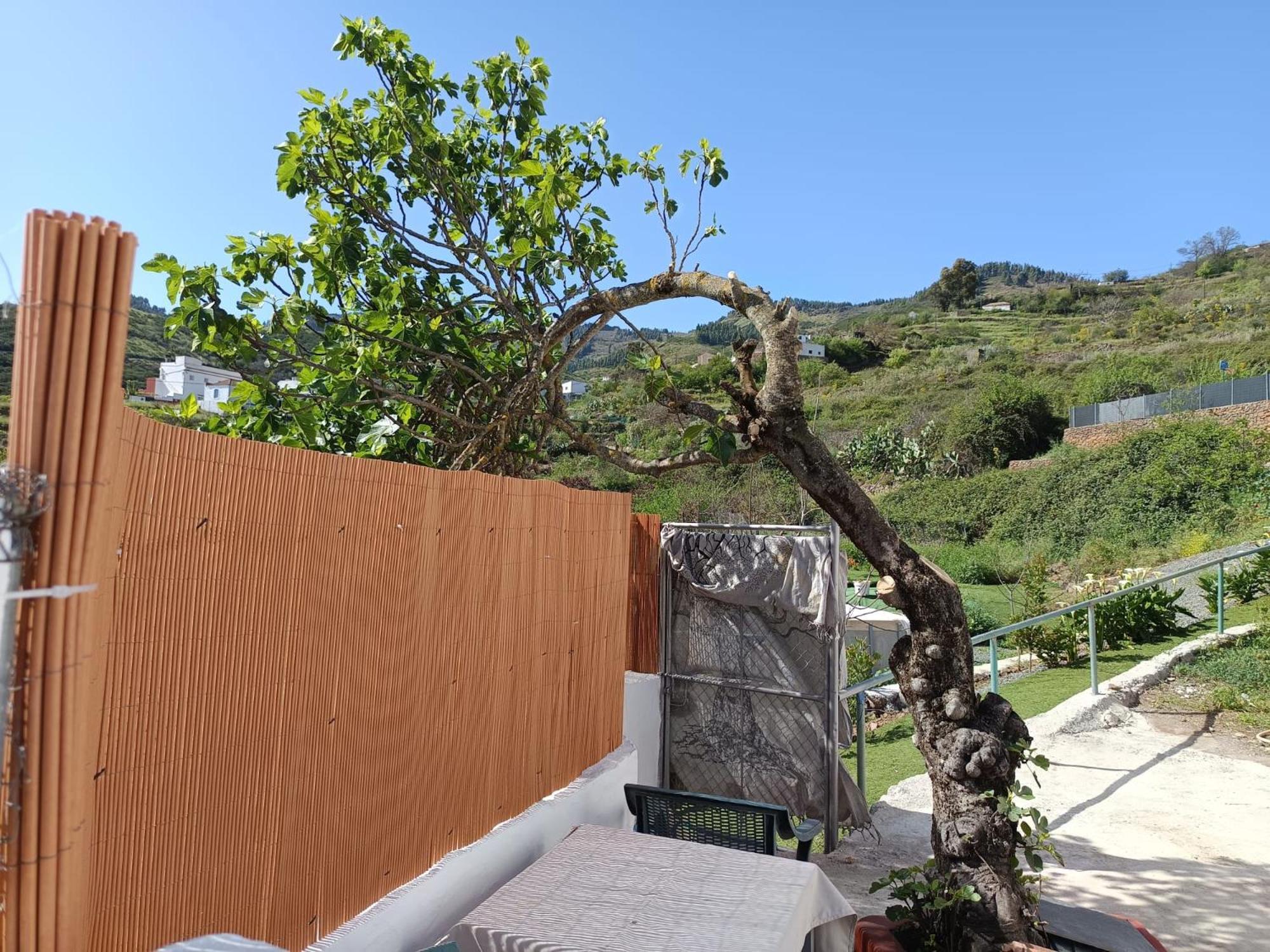 Vv Rural Finca Ecocielo 维加-德圣马特奥 外观 照片
